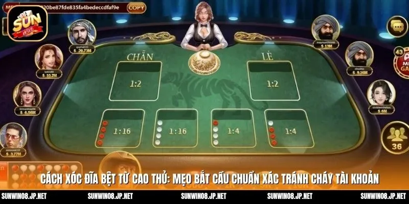 Cách xóc đĩa bệt từ cao thủ: mẹo bắt cầu chuẩn xác tránh cháy tài khoản